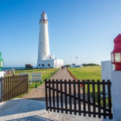 Lorem ipsum dolor II...